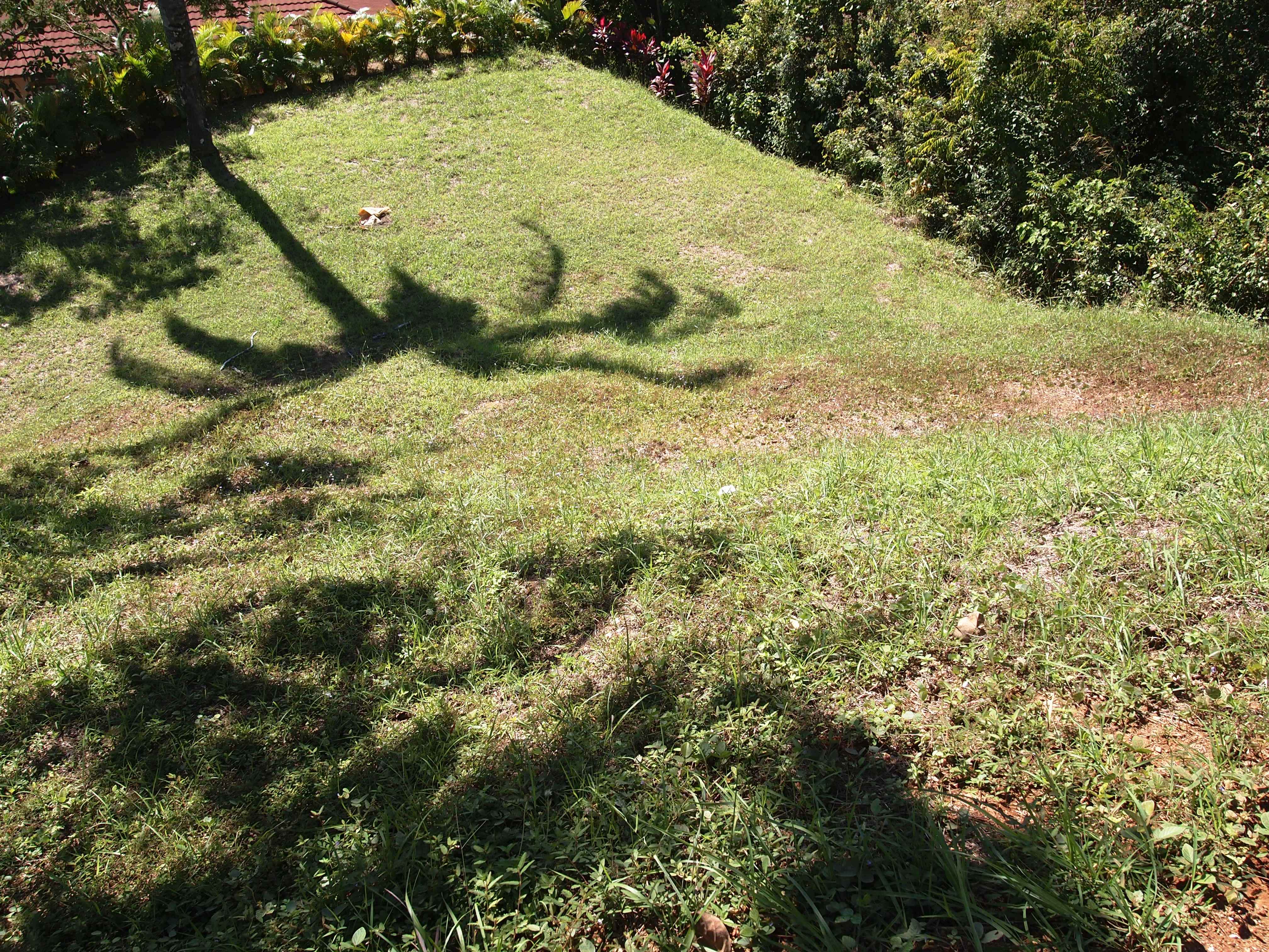 2 bed Single Family Homes For Sale in Samara, Guanacaste - thumb 14