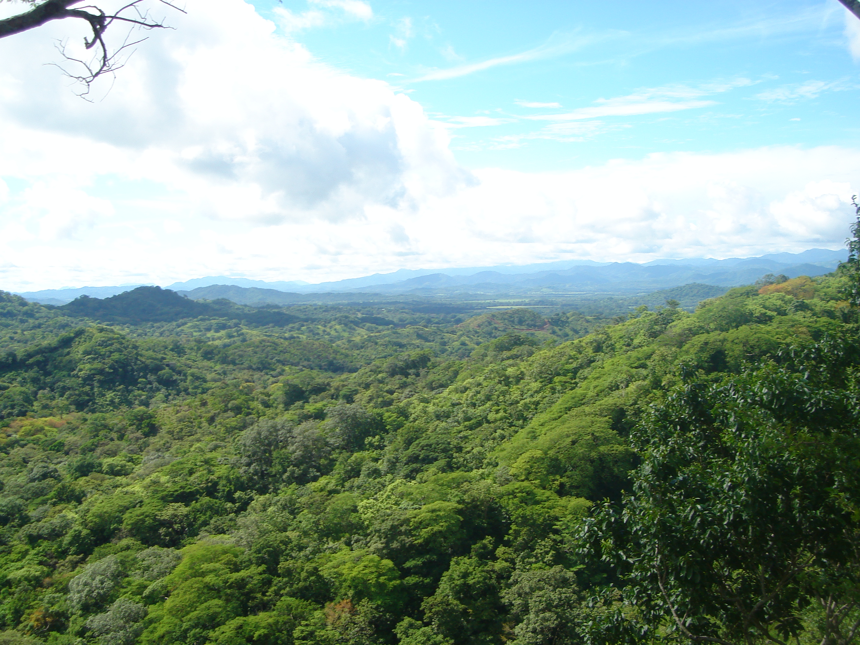 0 bed Land For Sale in Huacas, Guanacaste - thumb 14