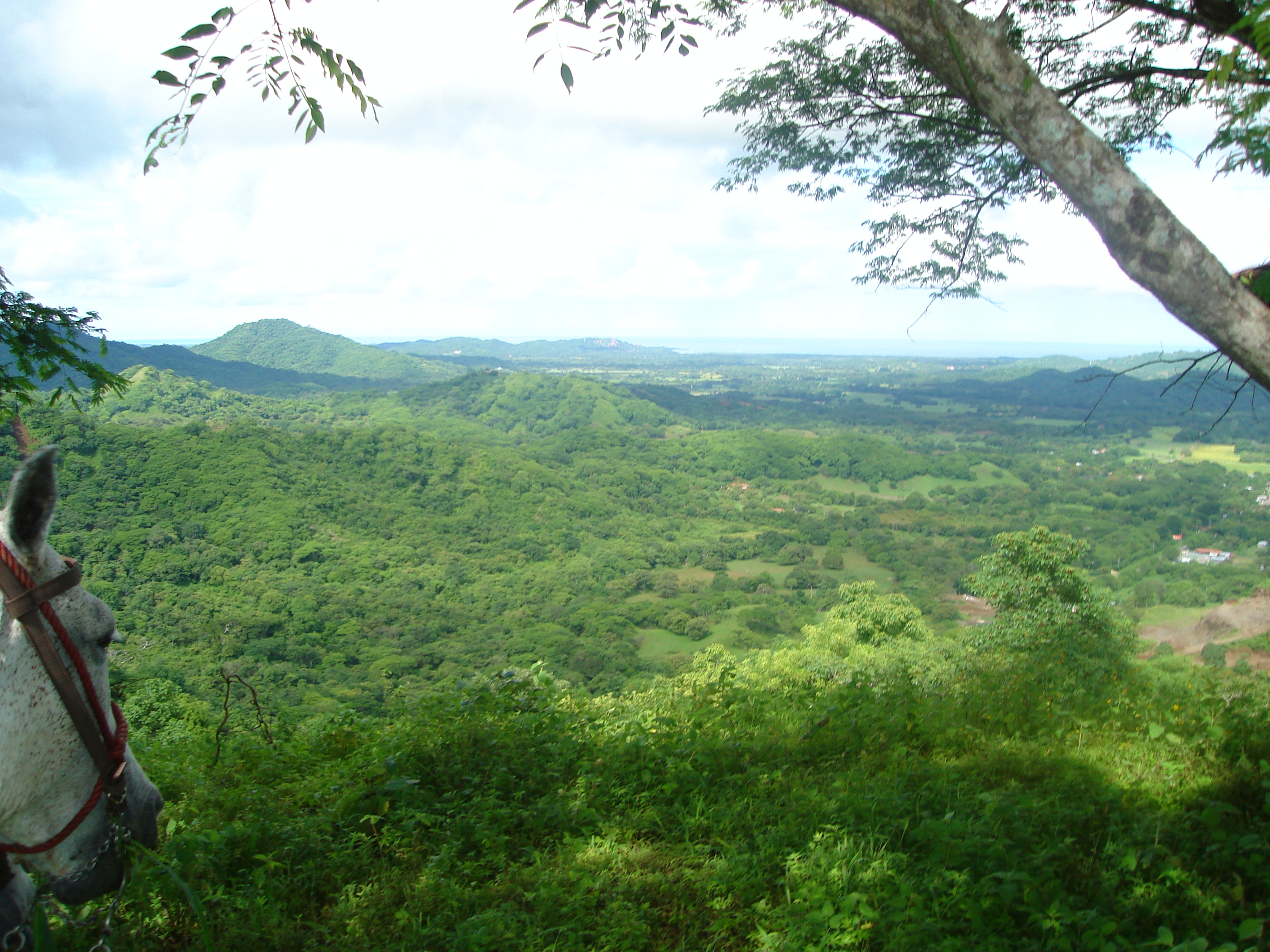 0 bed Land For Sale in Huacas, Guanacaste - thumb 11