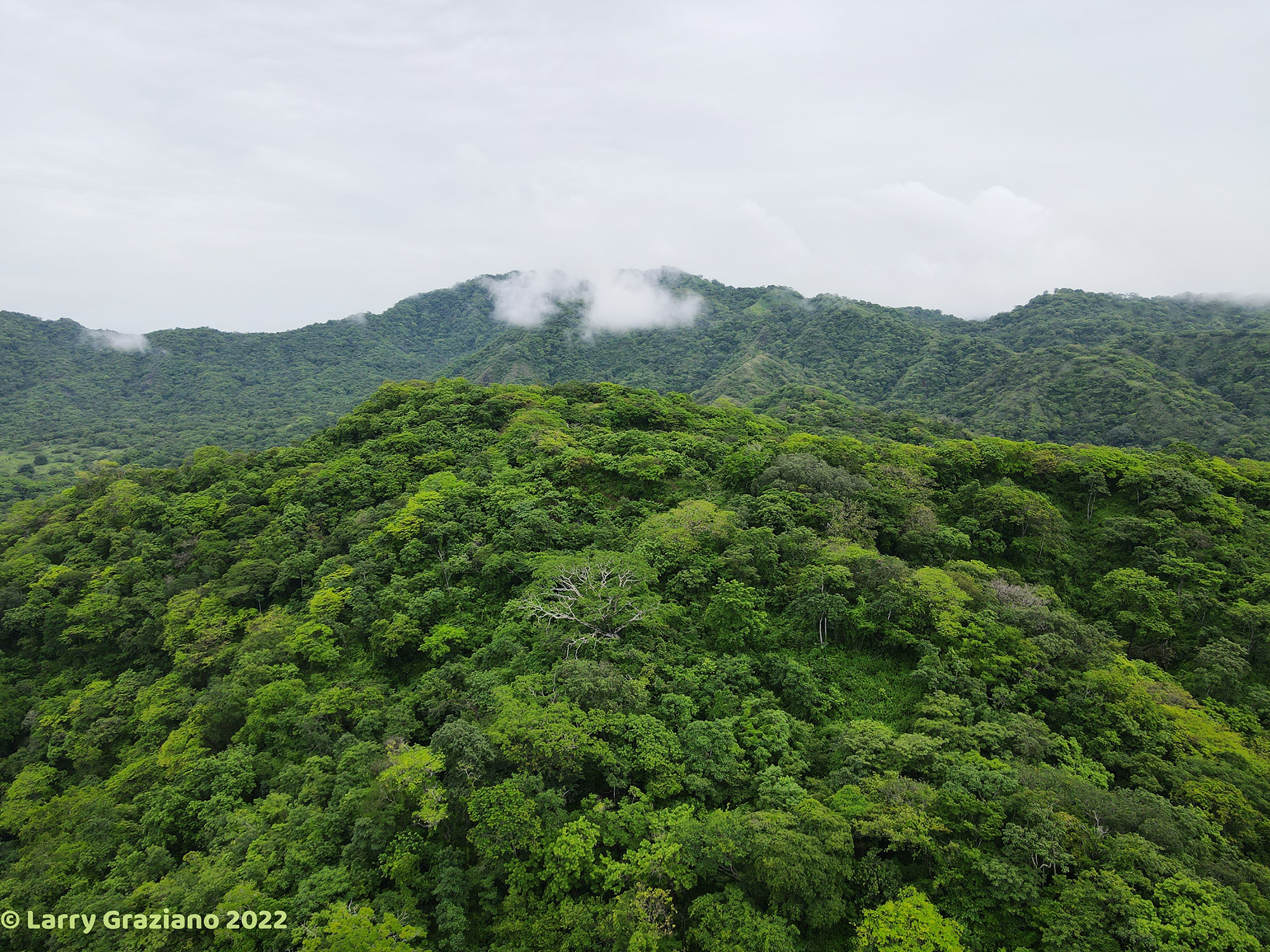 0 bed Land For Sale in Huacas, Guanacaste - thumb 8