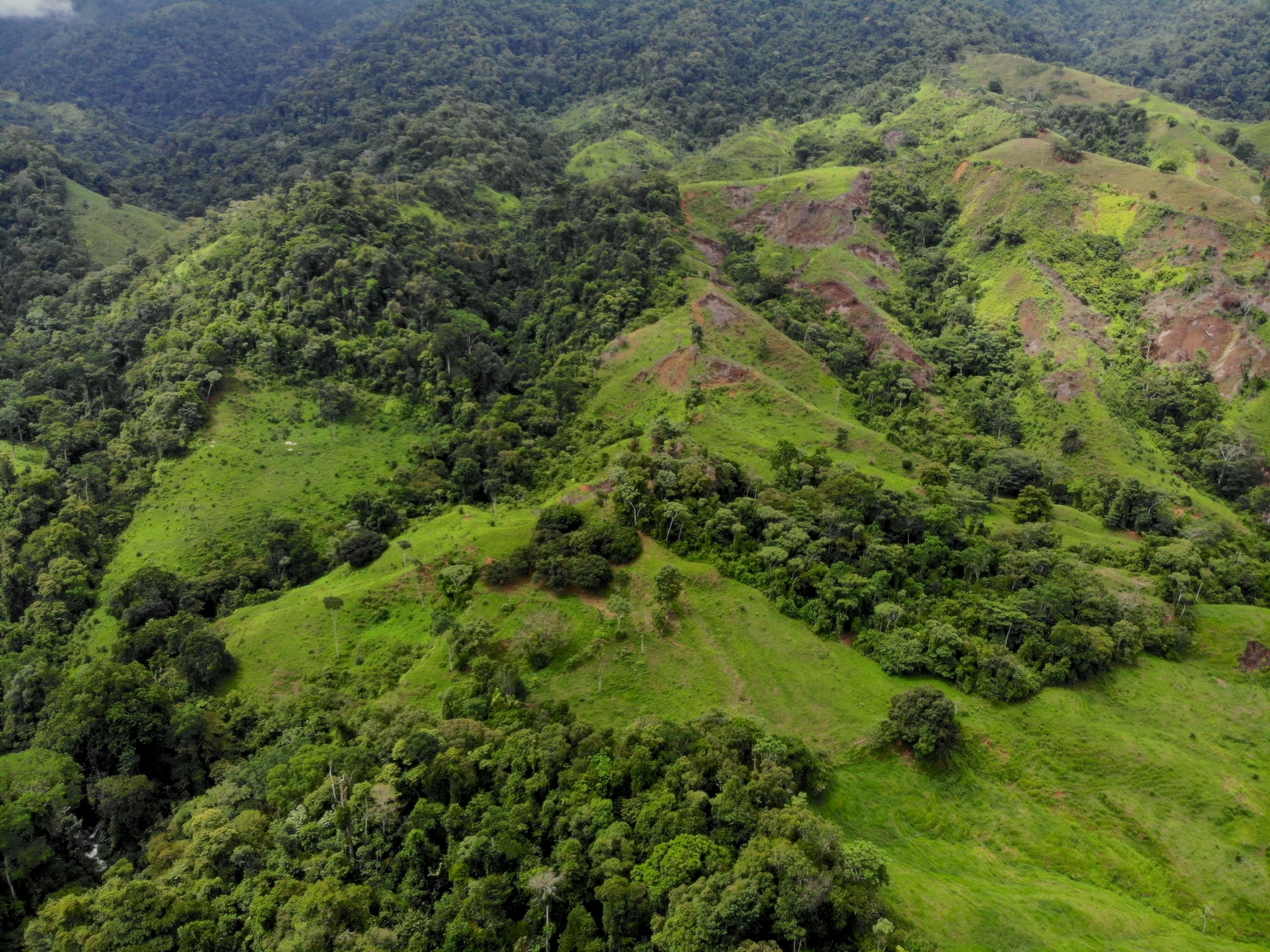 0 bed Land For Sale in Dominical, Puntarenas - thumb 27