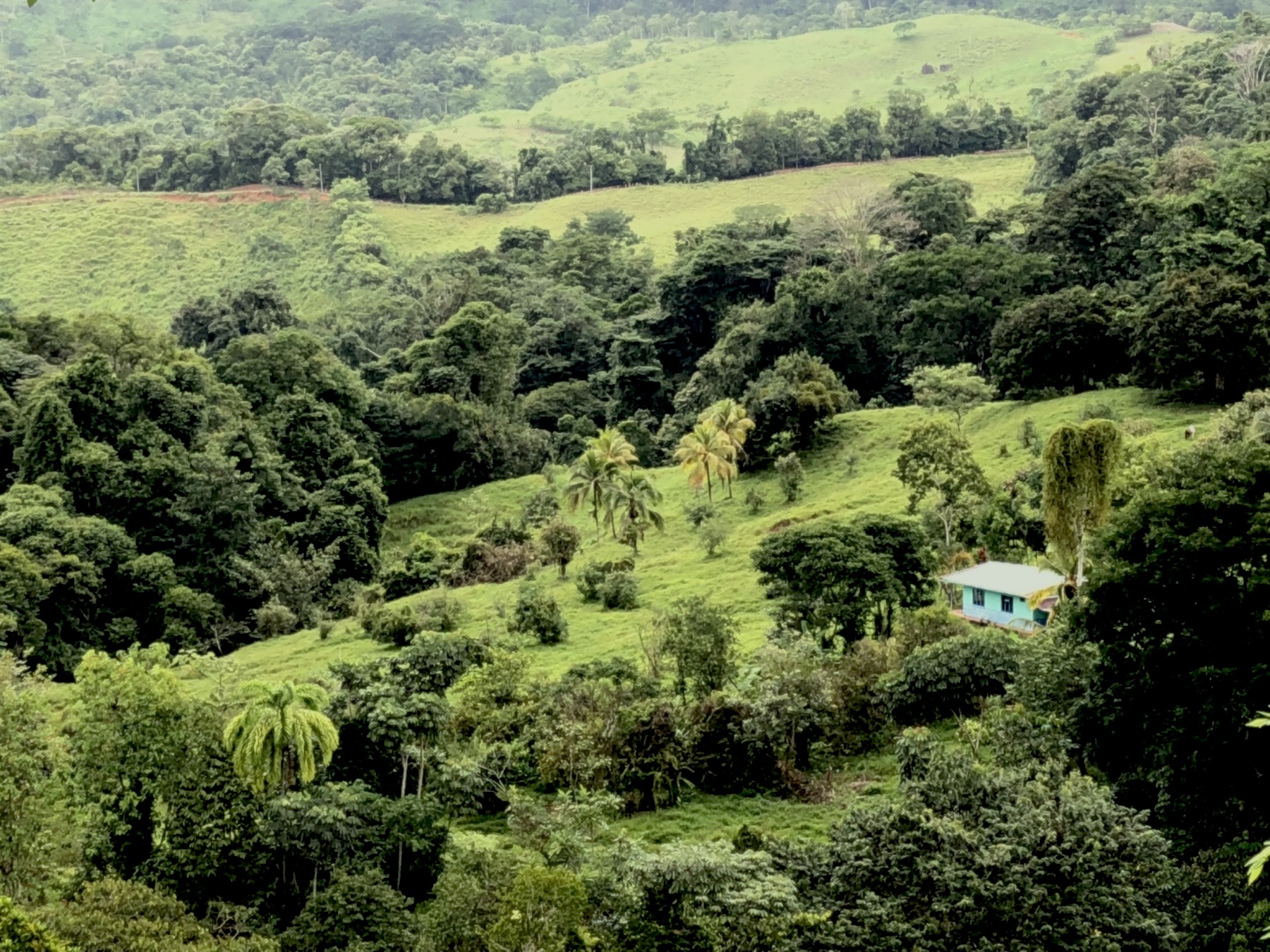 0 bed Land For Sale in Dominical, Puntarenas - thumb 17