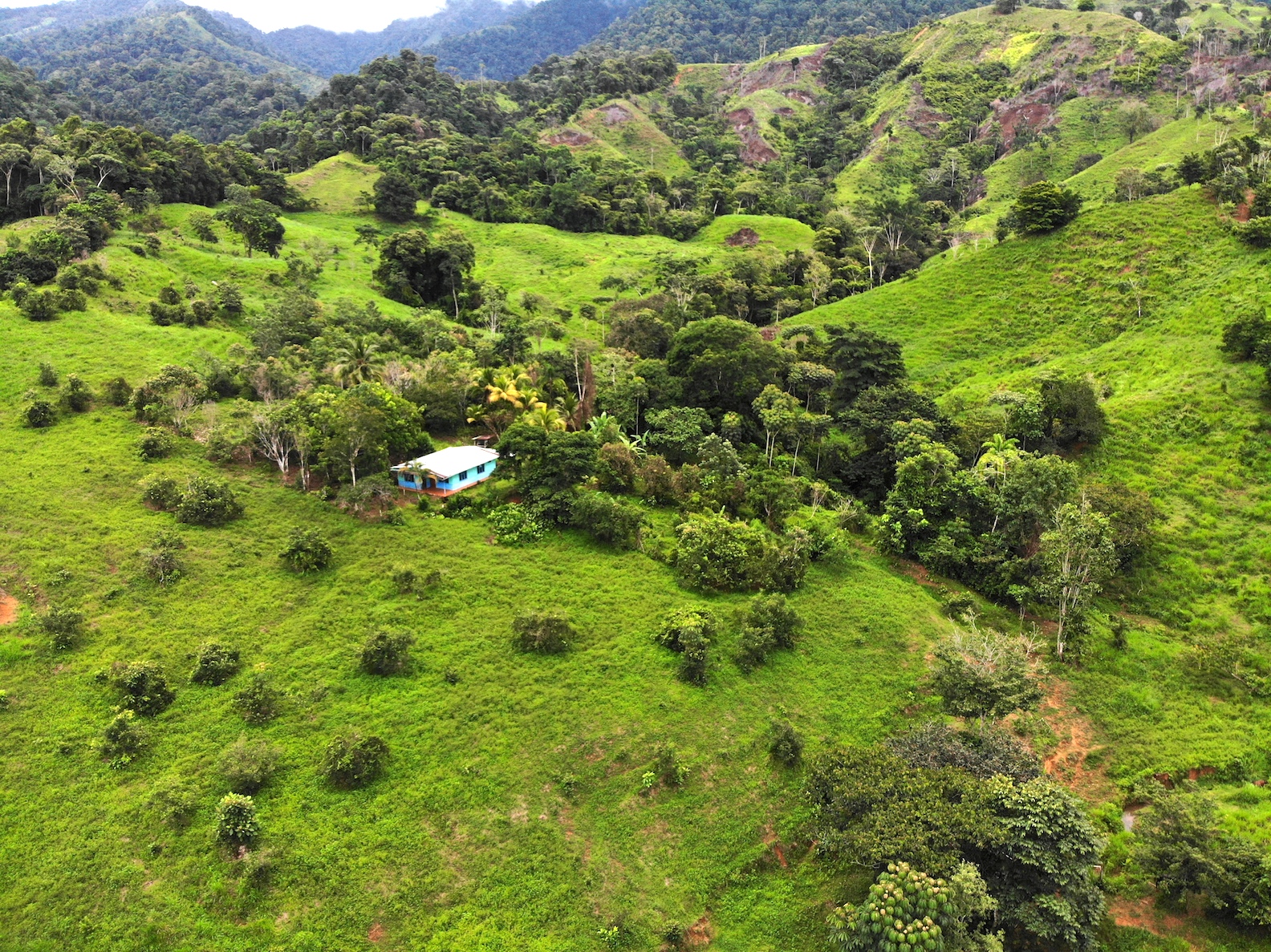 0 bed Land For Sale in Dominical, Puntarenas - thumb 25