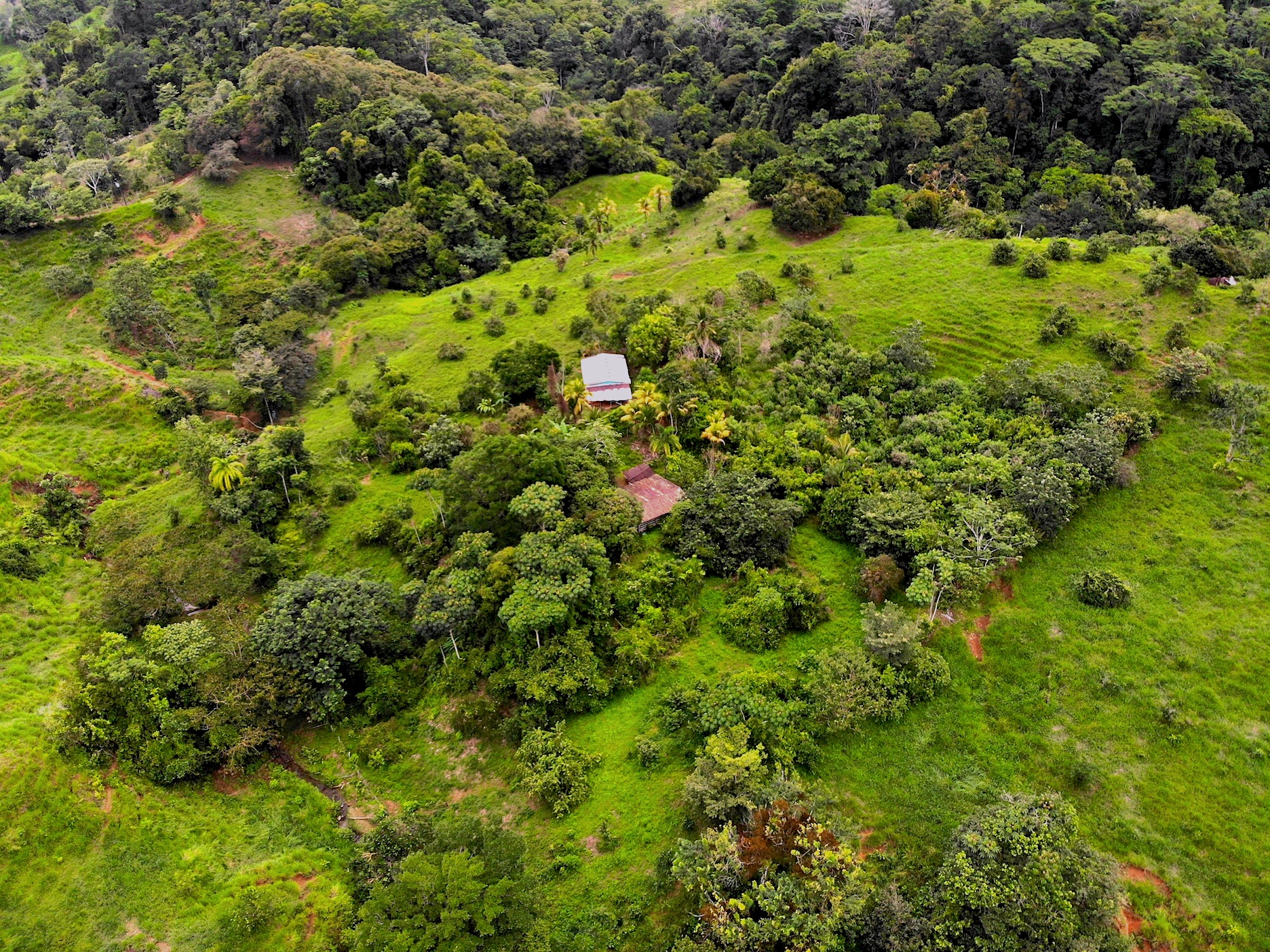 0 bed Land For Sale in Dominical, Puntarenas - thumb 23