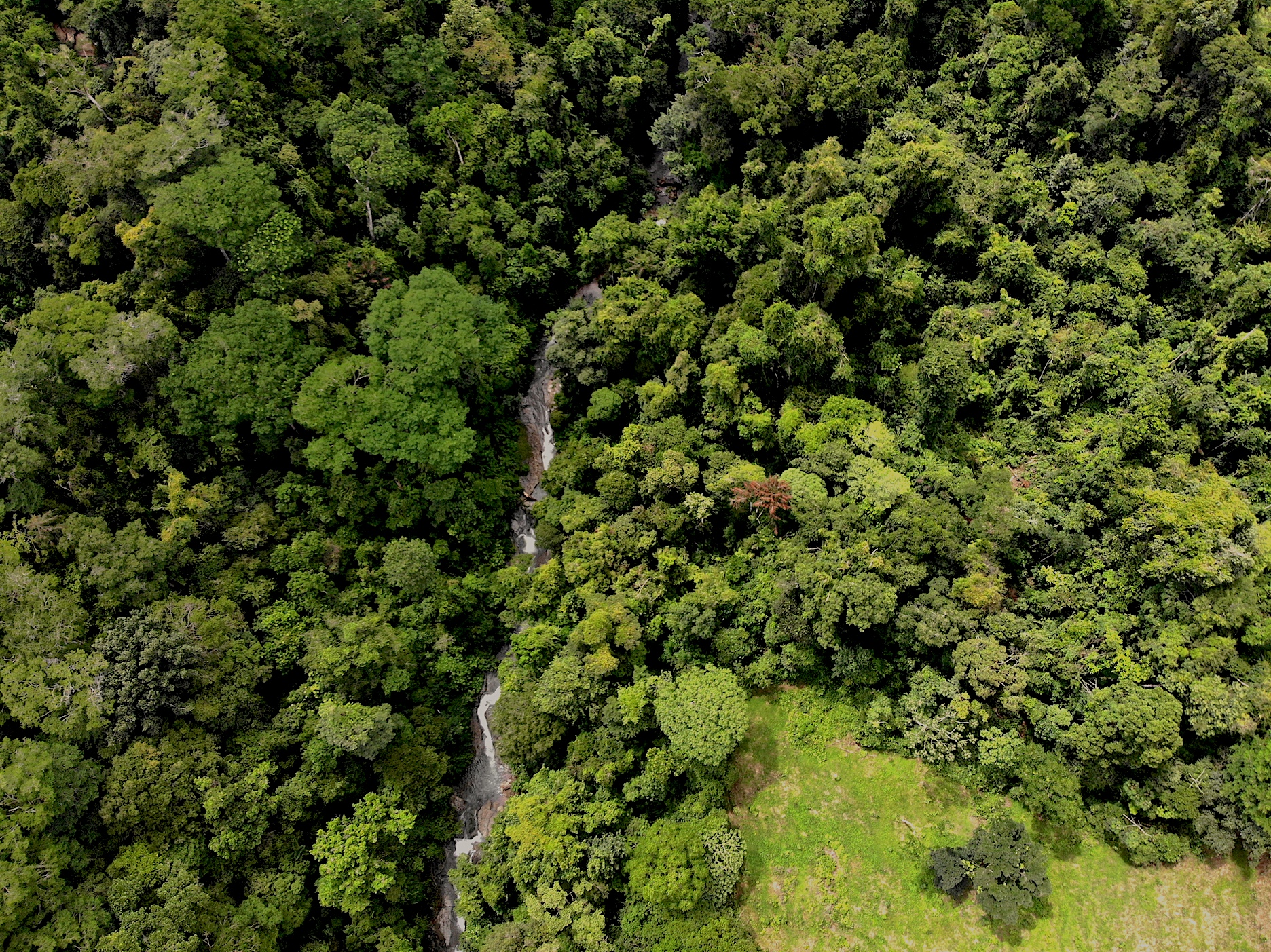 0 bed Land For Sale in Dominical, Puntarenas - thumb 26