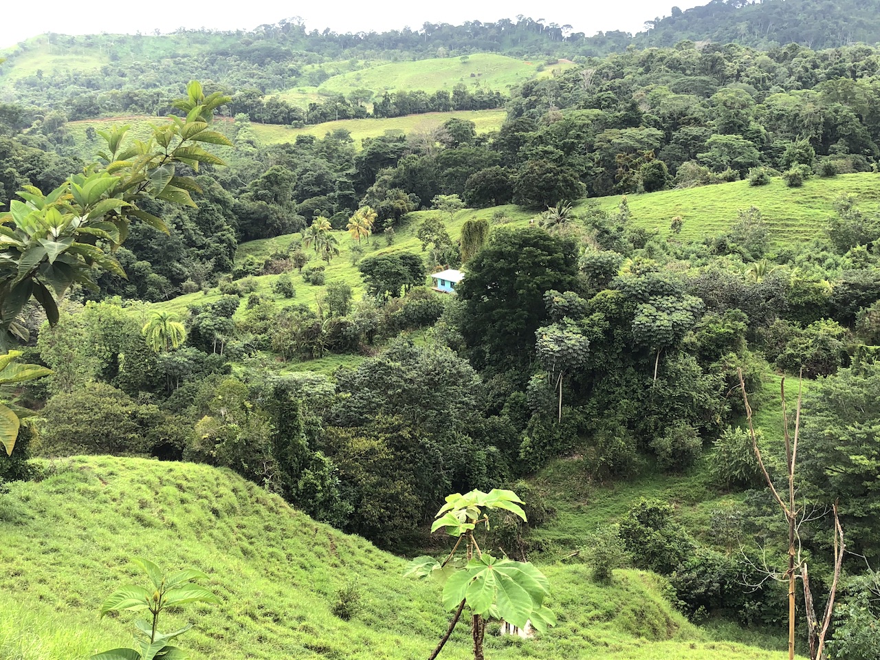 0 bed Land For Sale in Dominical, Puntarenas - thumb 19