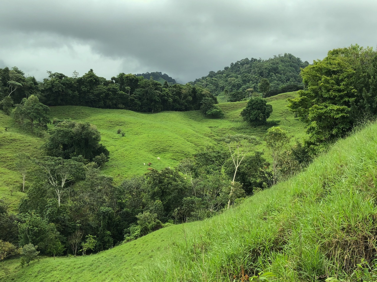 0 bed Land For Sale in Dominical, Puntarenas - thumb 18