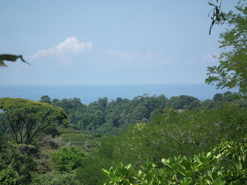 0 bed Land For Sale in Dominical, Puntarenas - 1