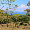  - Escalares Dominical Ocean View Estate or Development Parcel