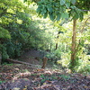  - Escalares Dominical Ocean View Estate or Development Parcel