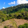  - Escalares Dominical Ocean View Estate or Development Parcel