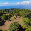  - Escalares Dominical Ocean View Estate or Development Parcel