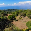  - Escalares Dominical Ocean View Estate or Development Parcel