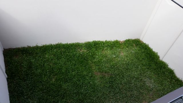 3 bed Condo For Sale in Santa Ana, San Jose - thumb 14