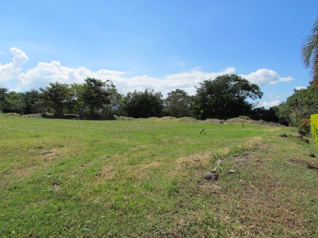 0 bed Land For Sale in Alajuela, Alajuela - thumb 2