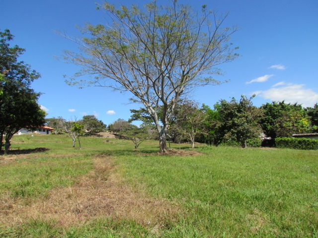 0 bed Land For Sale in Alajuela, Alajuela - thumb 5