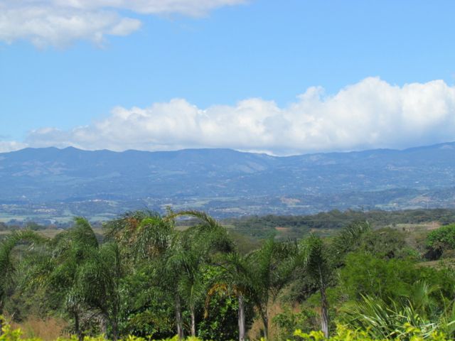 0 bed Land For Sale in Alajuela, Alajuela - thumb 6