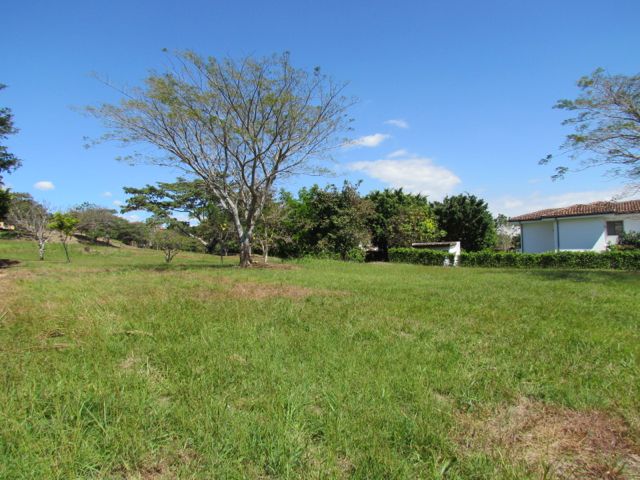 0 bed Land For Sale in Alajuela, Alajuela - thumb 16