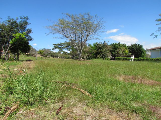 0 bed Land For Sale in Alajuela, Alajuela - thumb 14