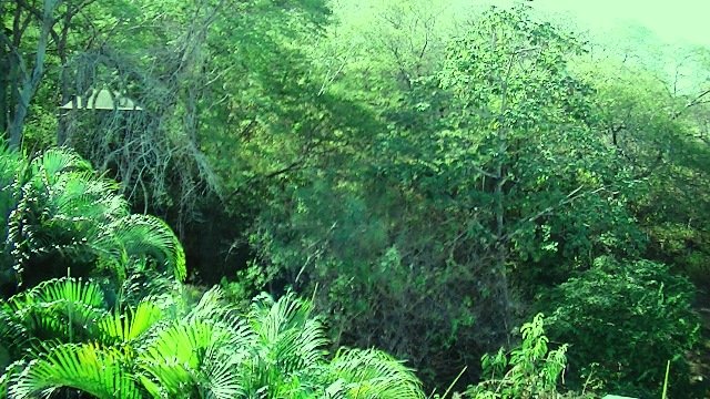 2 bed Condo For Sale in Playas Del Coco, Guanacaste - thumb 26