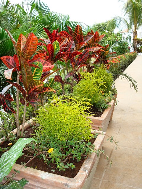 2 bed Condo For Sale in Playas Del Coco, Guanacaste - thumb 27