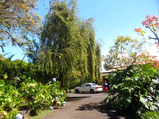 5 bed Single Family Homes For Sale in San Rafael, Heredia - thumb 24