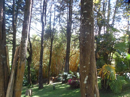 5 bed Single Family Homes For Sale in San Rafael, Heredia - thumb 28
