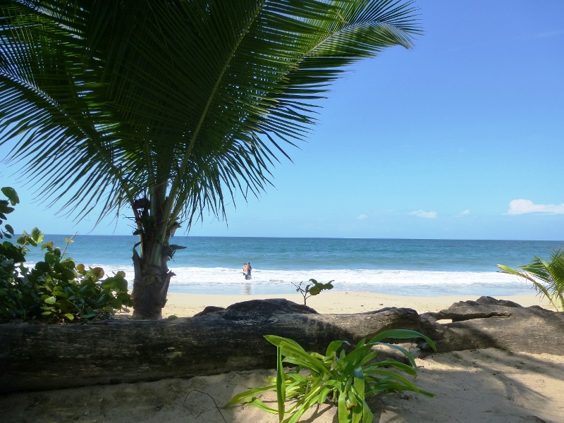7 bed Hotel / Leisure For Sale in Puerto Viejo, Limón - thumb 16