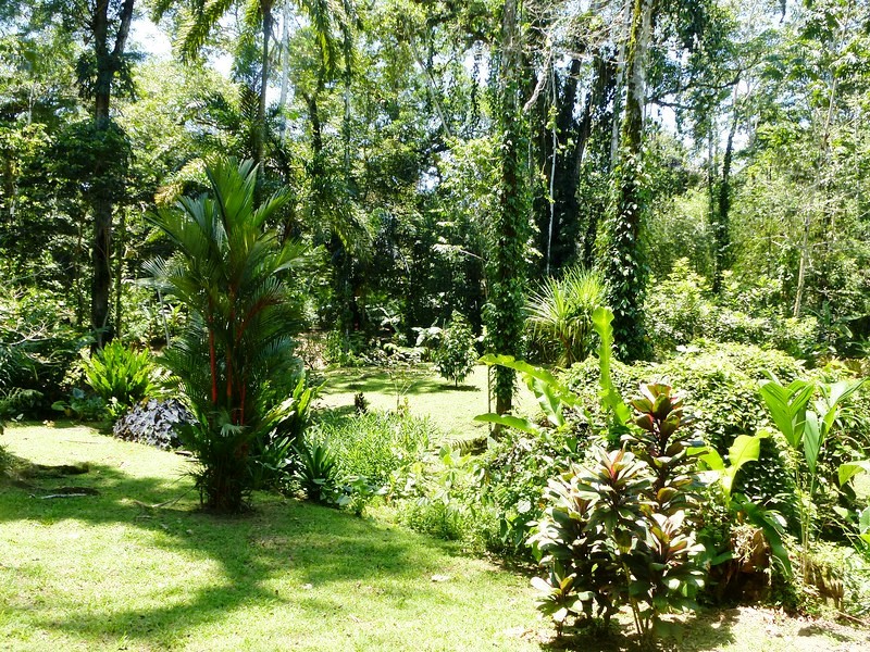 7 bed Hotel / Leisure For Sale in Puerto Viejo, Limón - thumb 17