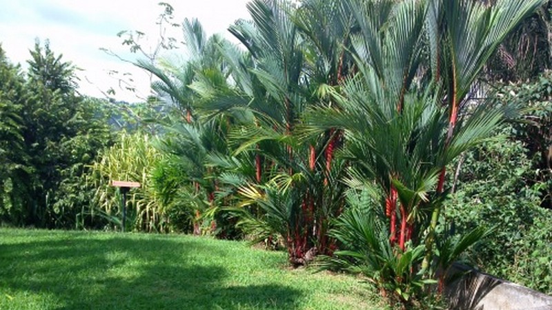 3 bed Single Family Homes For Sale in Esterillos, Puntarenas - thumb 22