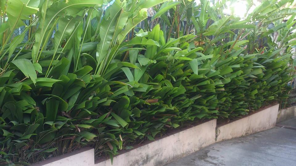 6 bed Commercial For Sale in San Rafael De Escazu, San Jose - thumb 1