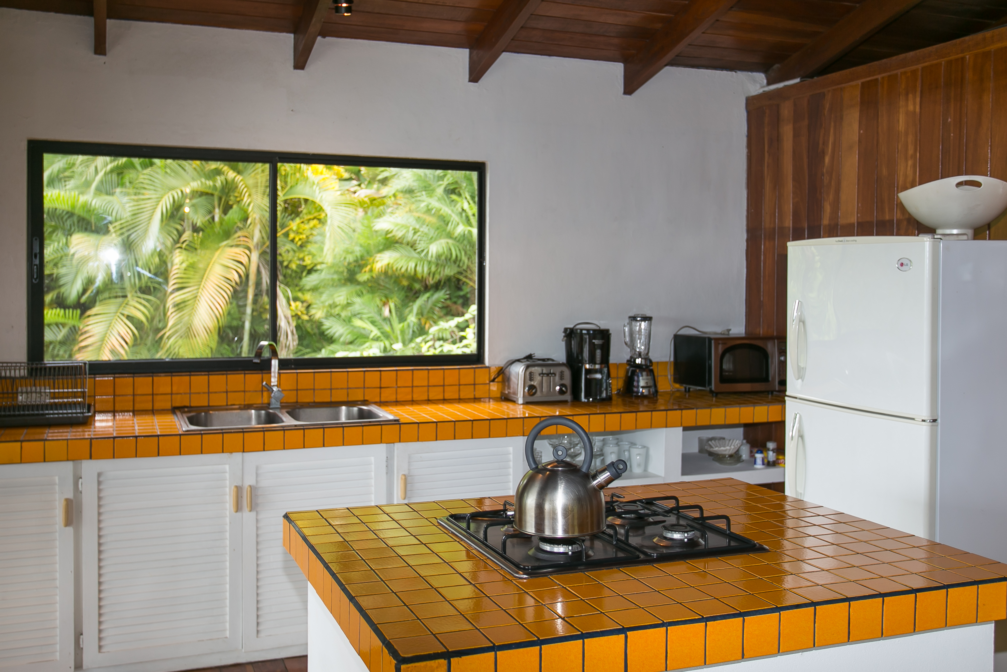 4 bed Single Family Homes For Sale in Manuel Antonio, Puntarenas - thumb 5
