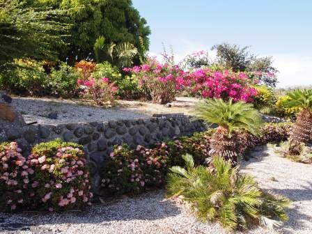 4 bed Single Family Homes For Sale in Samara, Guanacaste - thumb 8