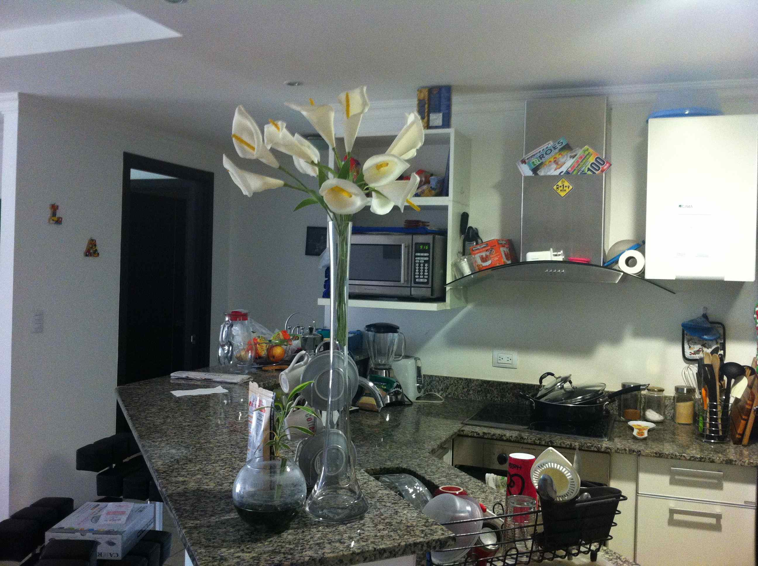 2 bed Apartment For Rent in Santa Ana, San Jose - thumb 2