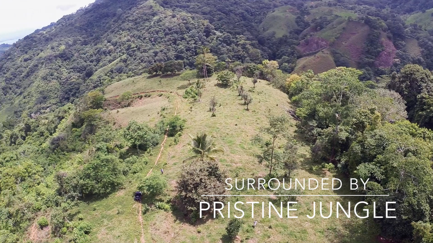0 bed Land For Sale in Uvita, Puntarenas - thumb 16