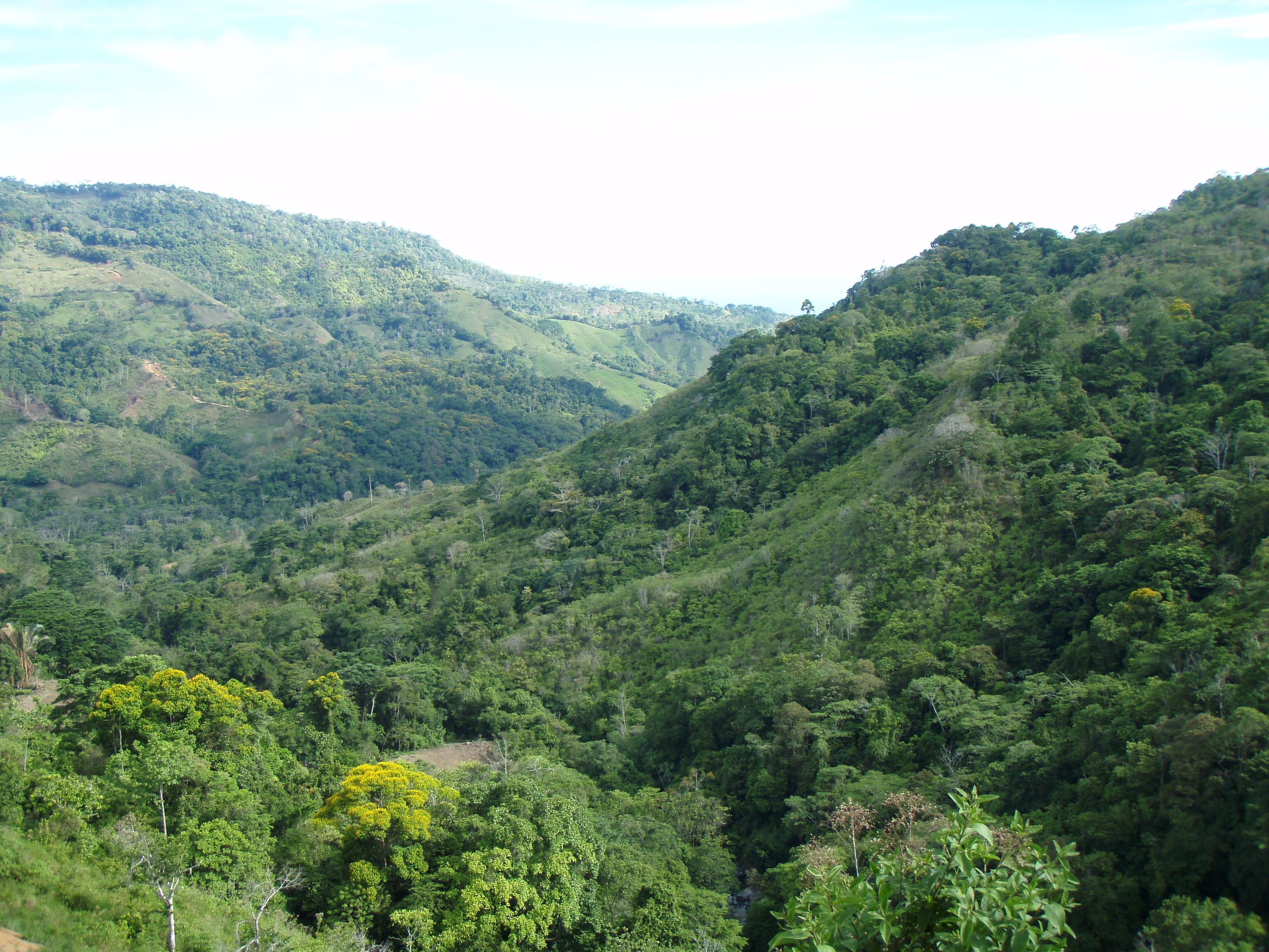 0 bed Land For Sale in Uvita, Puntarenas - thumb 19