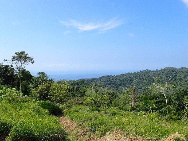 0 bed Land For Sale in Uvita, Puntarenas - 1