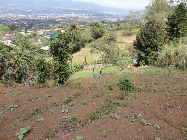 0 bed Land For Sale in San Antonio De Escazu, San Jose - thumb 4