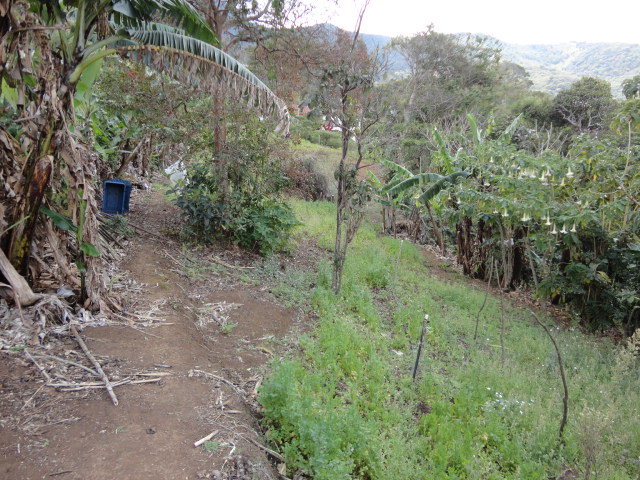 0 bed Land For Sale in San Antonio De Escazu, San Jose - thumb 5