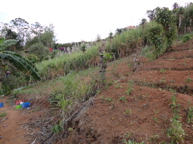 0 bed Land For Sale in San Antonio De Escazu, San Jose - thumb 6