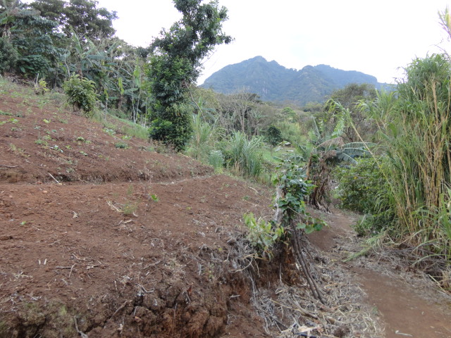 0 bed Land For Sale in San Antonio De Escazu, San Jose - thumb 7