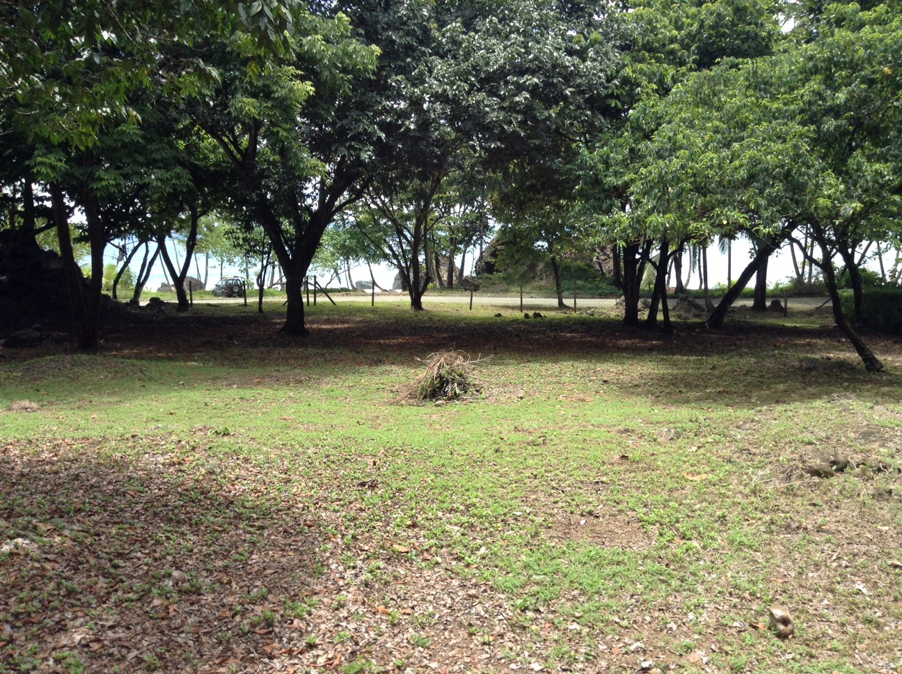 0 bed Land For Sale in Pavones, Puntarenas - thumb 5