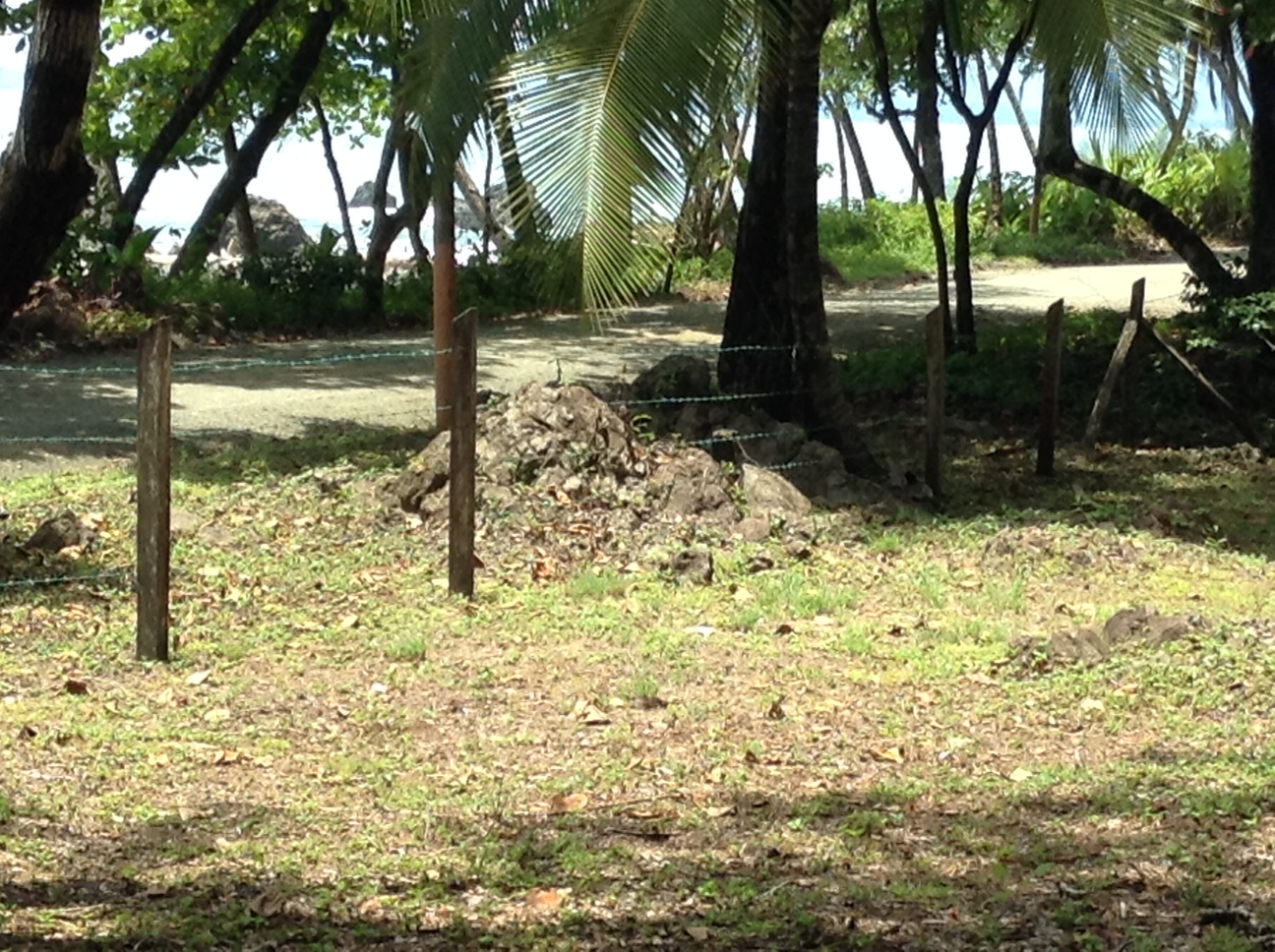 0 bed Land For Sale in Pavones, Puntarenas - thumb 7
