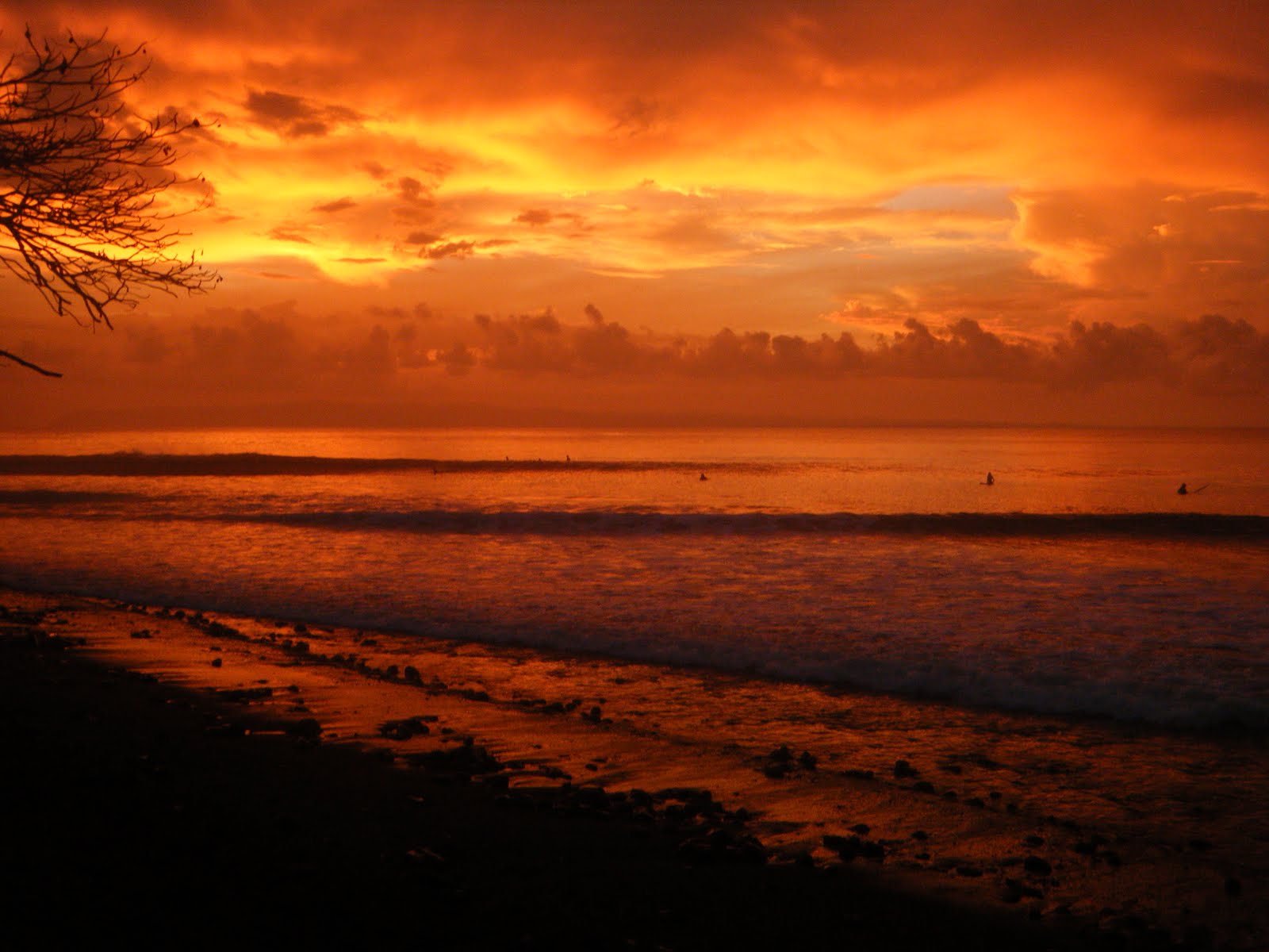 0 bed Land For Sale in Pavones, Puntarenas - thumb 3