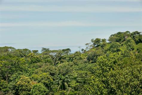 3 bed Single Family Homes For Sale in Manuel Antonio, Puntarenas - thumb 23
