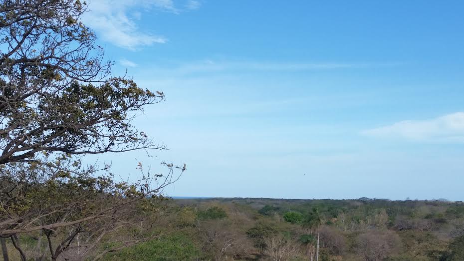 Featured property image
