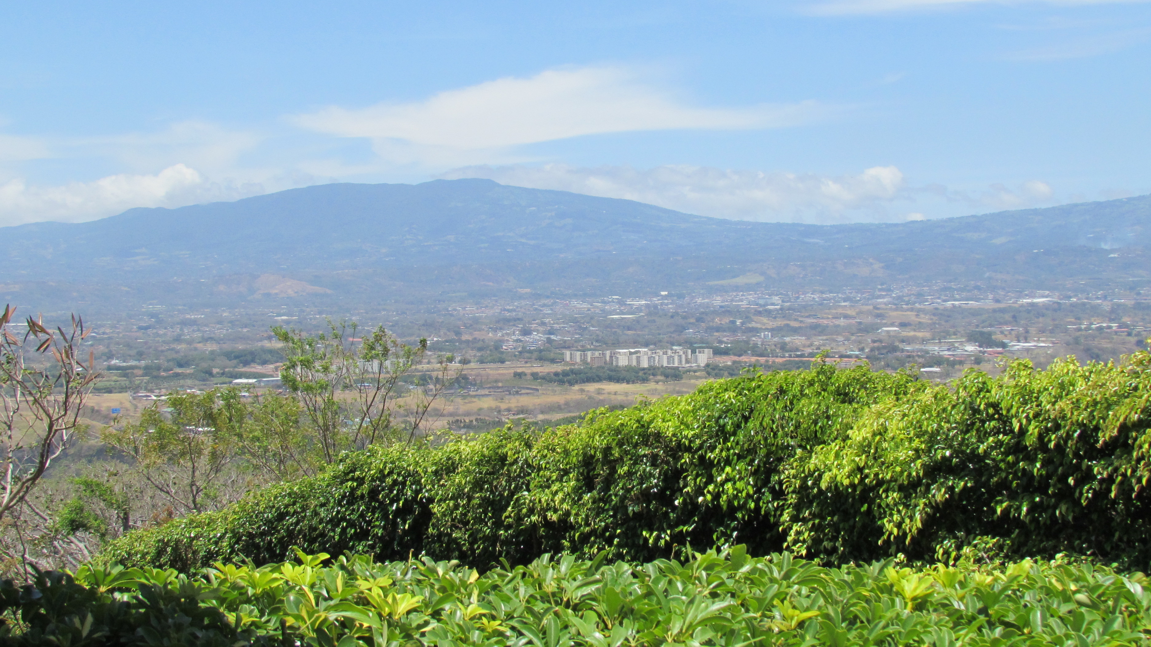 3 bed Single Family Homes For Sale in Brasil De Mora, San Jose - thumb 18