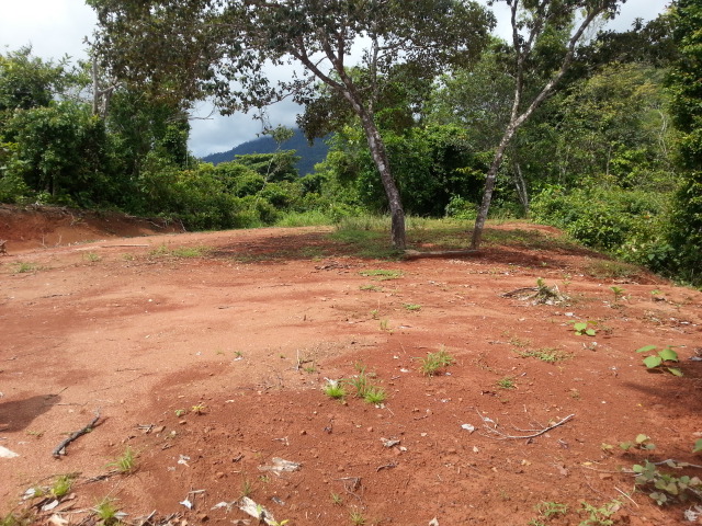 0 bed Land For Sale in Matapalo, Puntarenas - thumb 2