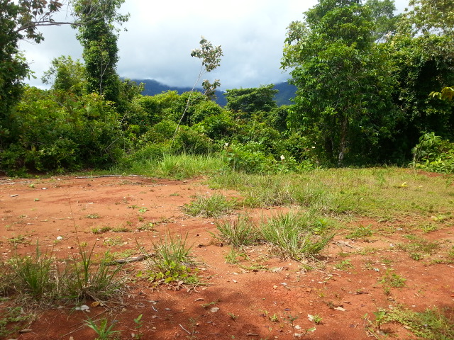 0 bed Land For Sale in Matapalo, Puntarenas - thumb 3
