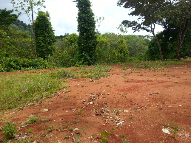 0 bed Land For Sale in Matapalo, Puntarenas - thumb 4